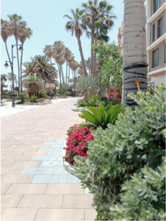 Beach Side Apartment -Estepona Ngoại thất bức ảnh